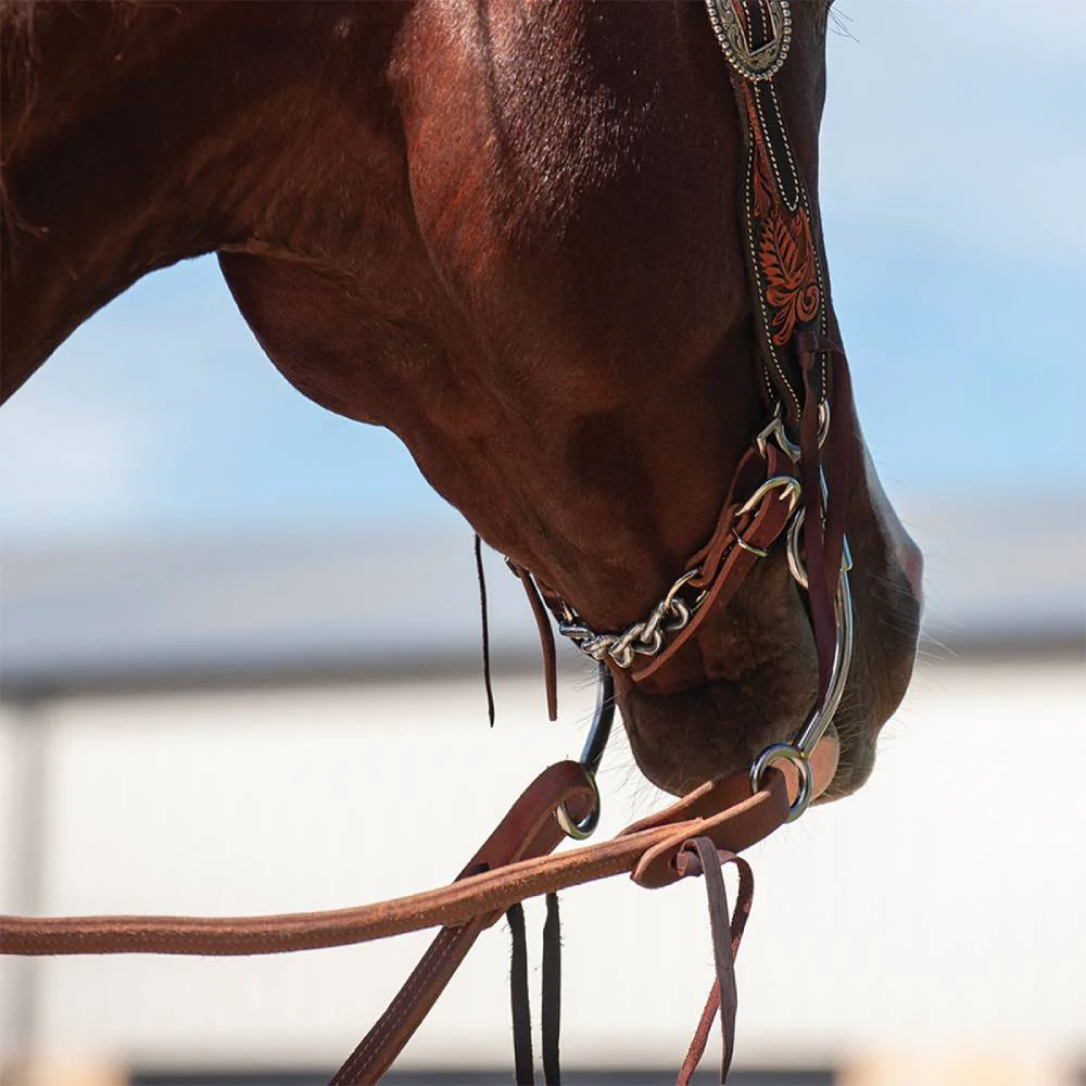 Martin Saddlery Latigo Chain Curb Strap - Image 4