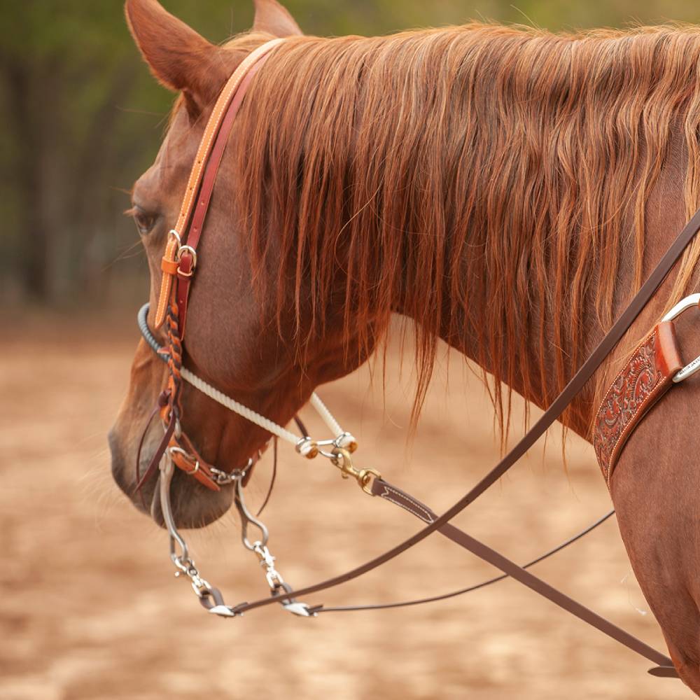Martin Saddlery 5/8" Biothane Roping Reins - Image 2