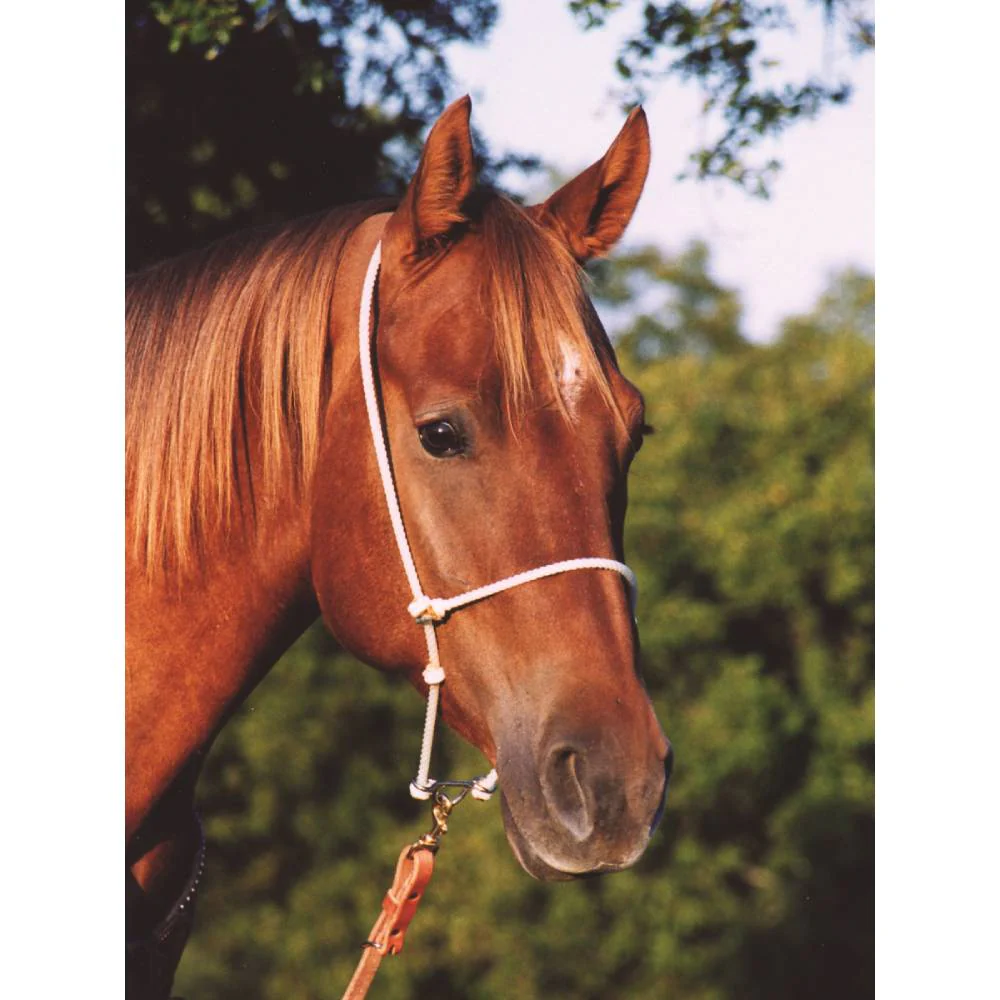 Martin Saddlery Headsetter Tie Down - Image 3
