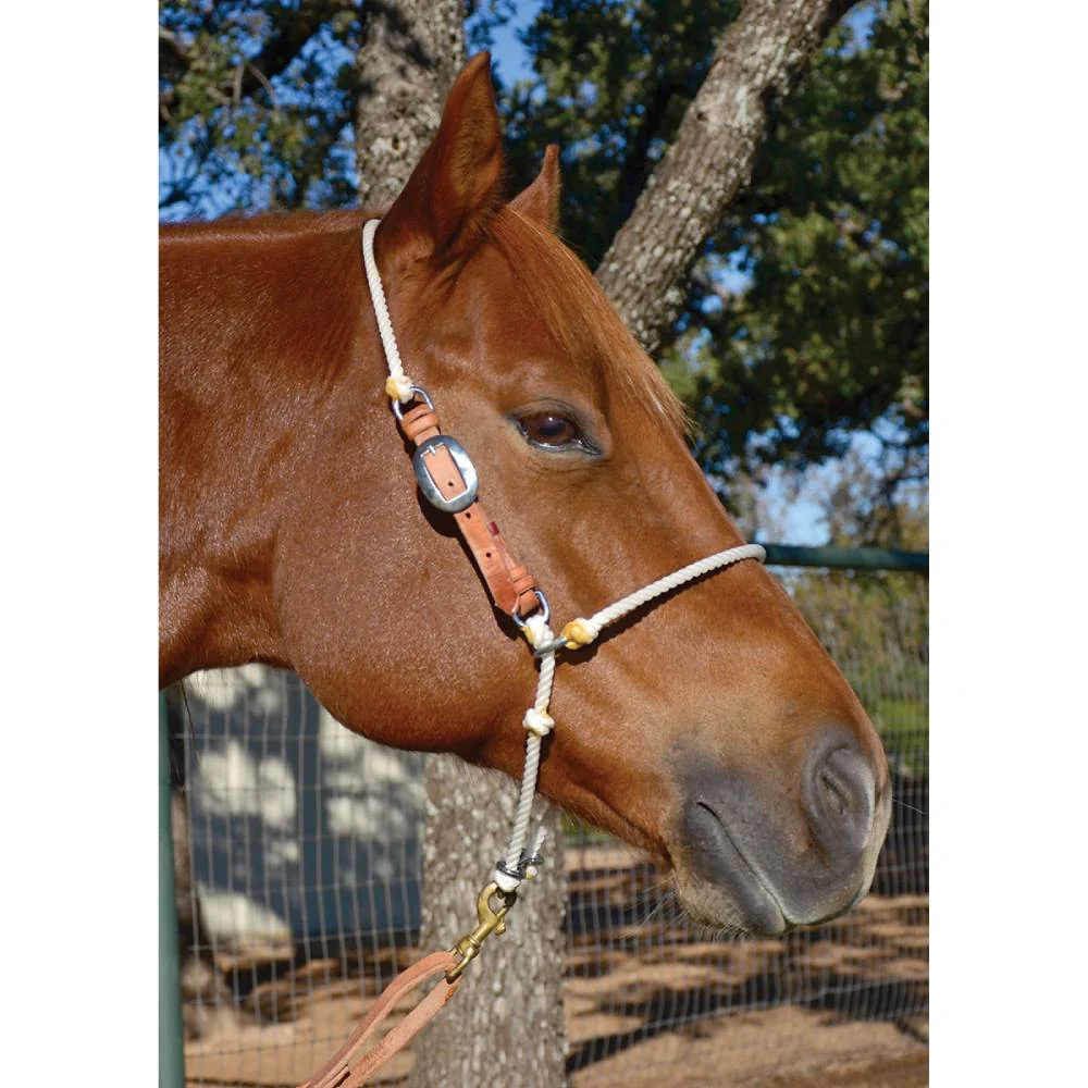 Martin Saddlery Headsetter Tie Down - Image 4