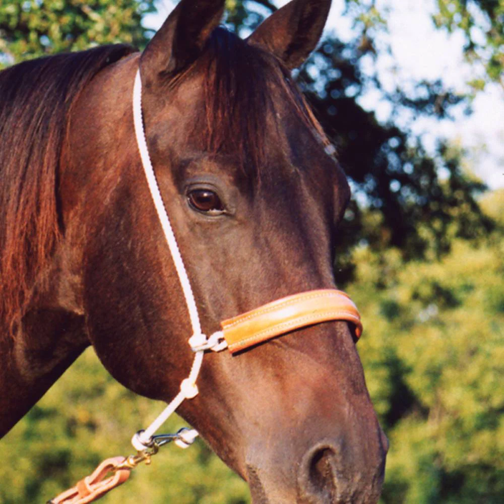 Martin Saddlery Headsetter Tie Down - Image 5