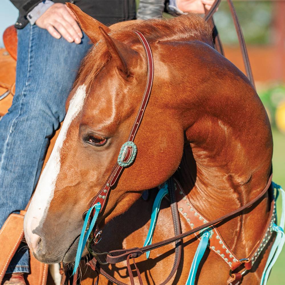 Martin Saddlery Antiqued Dots One Ear Headstall - Image 3