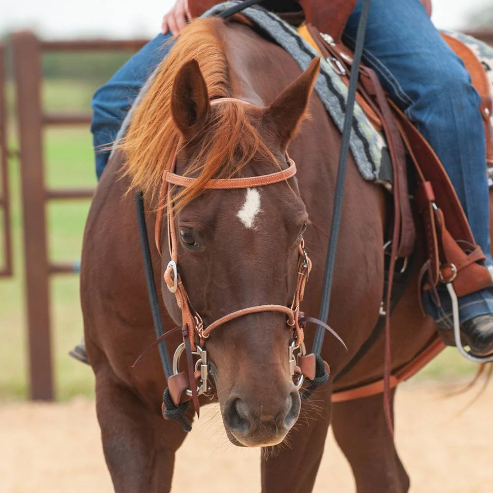 Martin Saddlery Adjustable Cavesson - Image 3