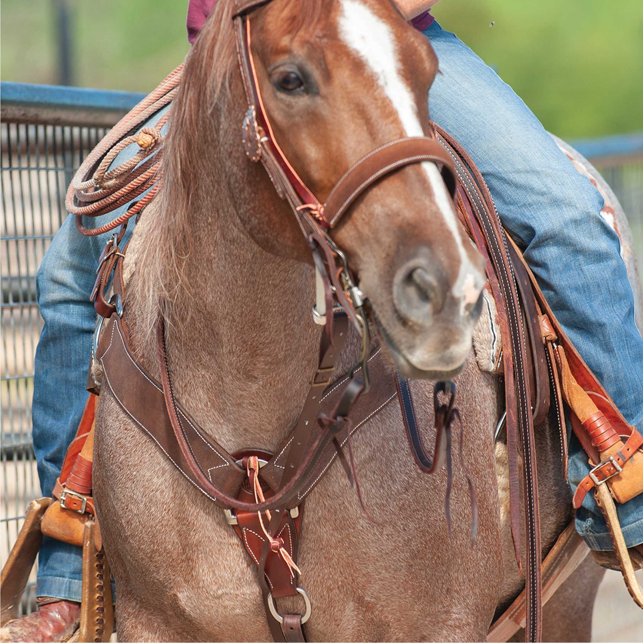 Martin Saddlery 2-3/4" Chocolate Roughout Breast Collar - Image 2