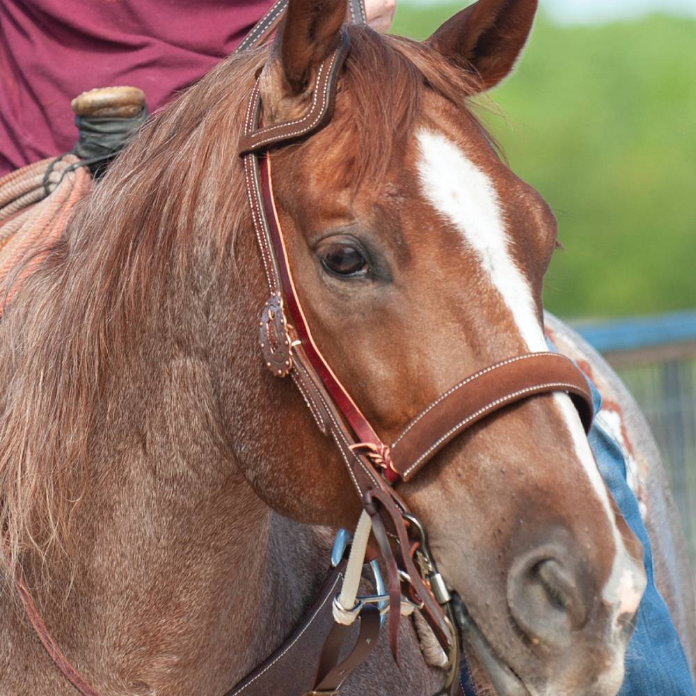 Martin Saddlery Double Rope Chocolate Roughout Leather Covered Noseband - Image 2