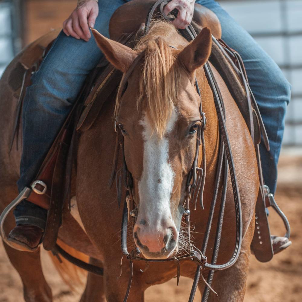 Martin Saddlery Doubled & Stitched Latigo Split Reins - Image 3