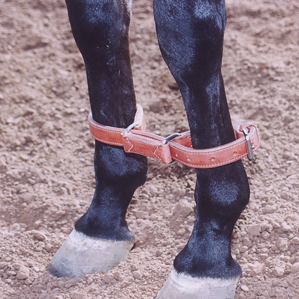 Martin Saddlery Hobbles - Image 2