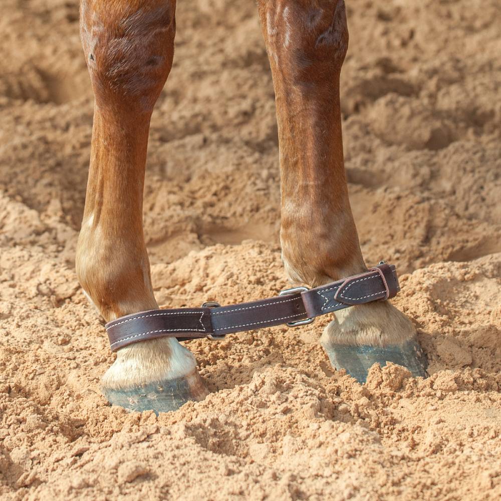 Martin Saddlery Hobbles - Image 4