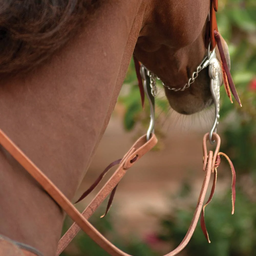 Martin Saddlery Harness Split Rein - Image 4