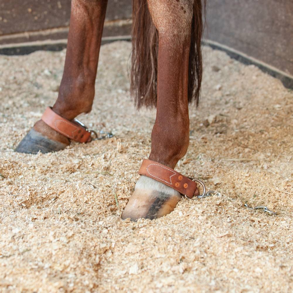 Martin Saddlery Kick Chain - Image 2