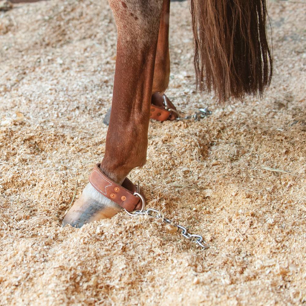 Martin Saddlery Kick Chain - Image 3