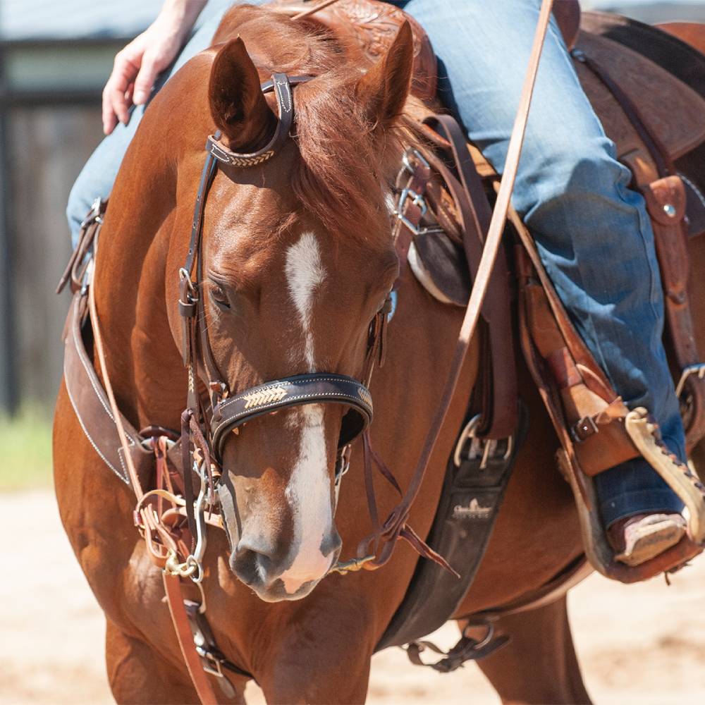 Martin Saddlery Rawhide Laced Chocolate One Ear Headstall - Image 2