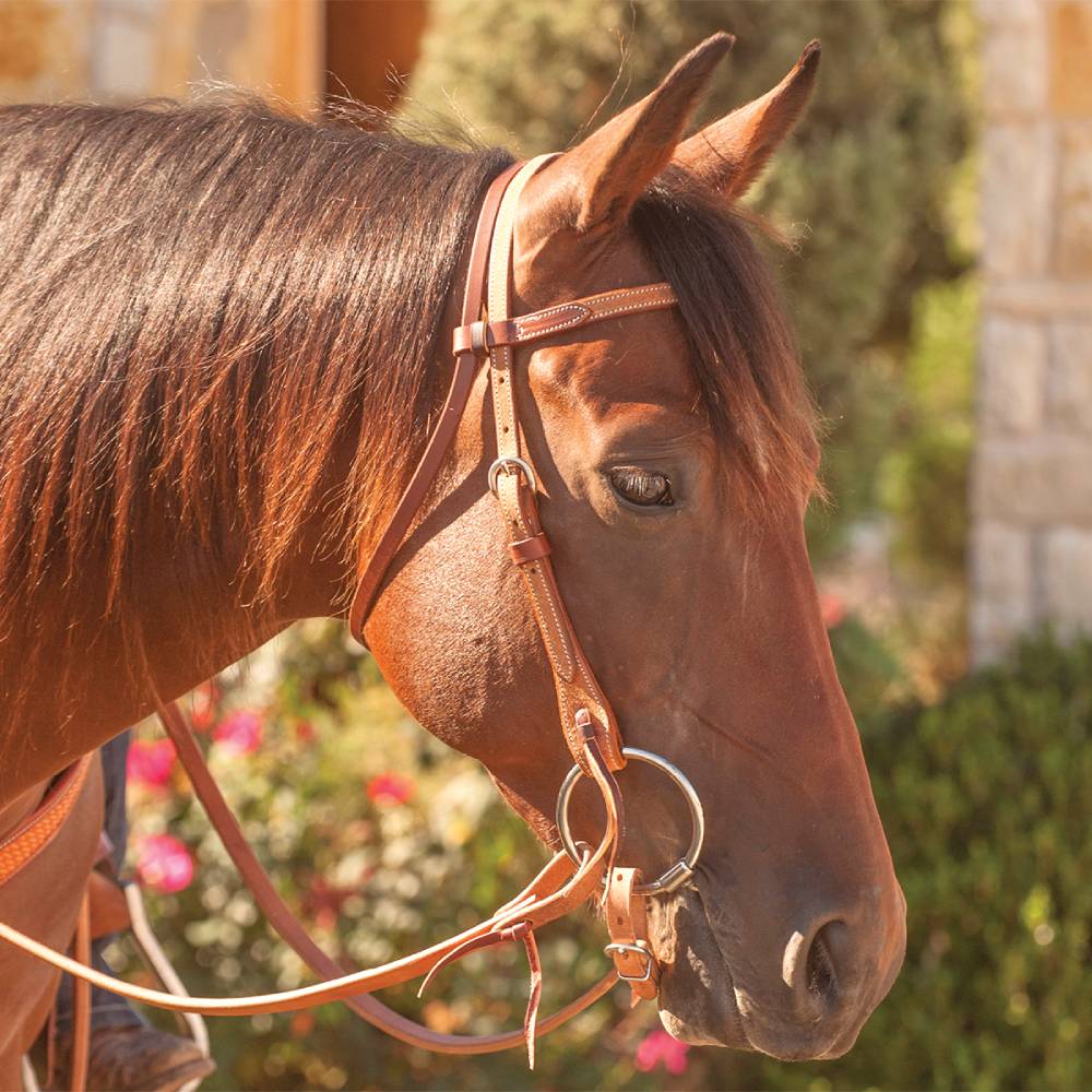 Martin Saddlery Roughout Browband Headstall - Image 4