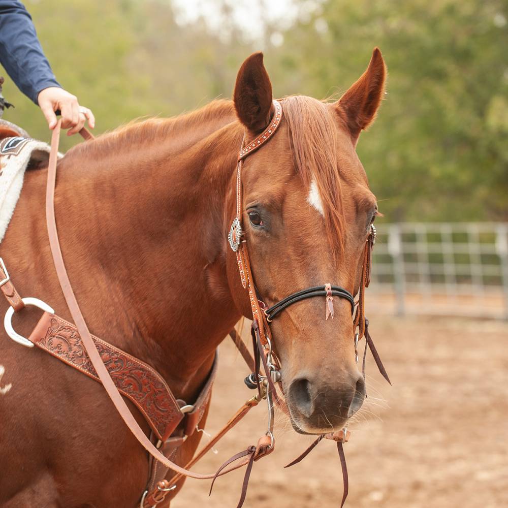 Martin Saddlery Harness Leather Roping Rein With Water Loops - Image 3