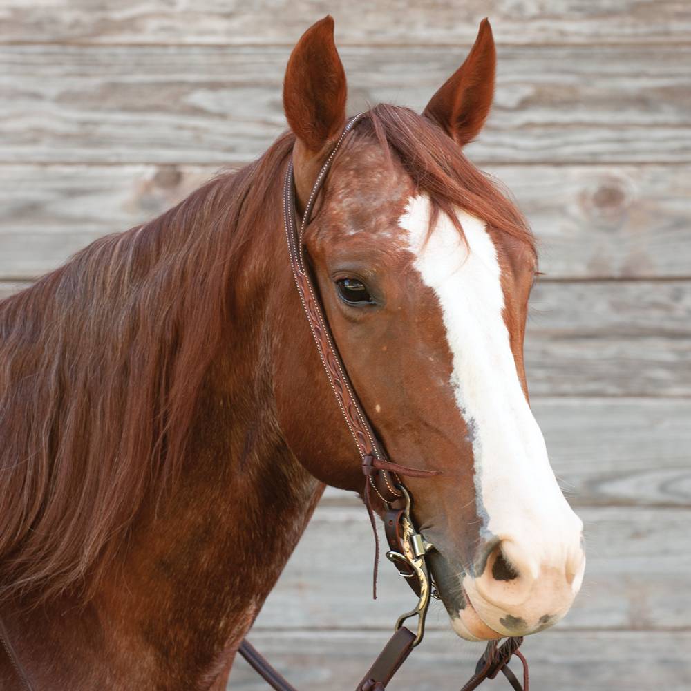 Martin Saddlery Weathered Antique Ranahan Split Ear Headstall - Image 2