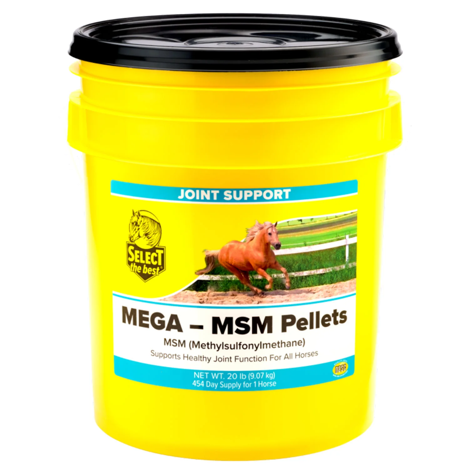Select The Best Mega MSM - Image 2