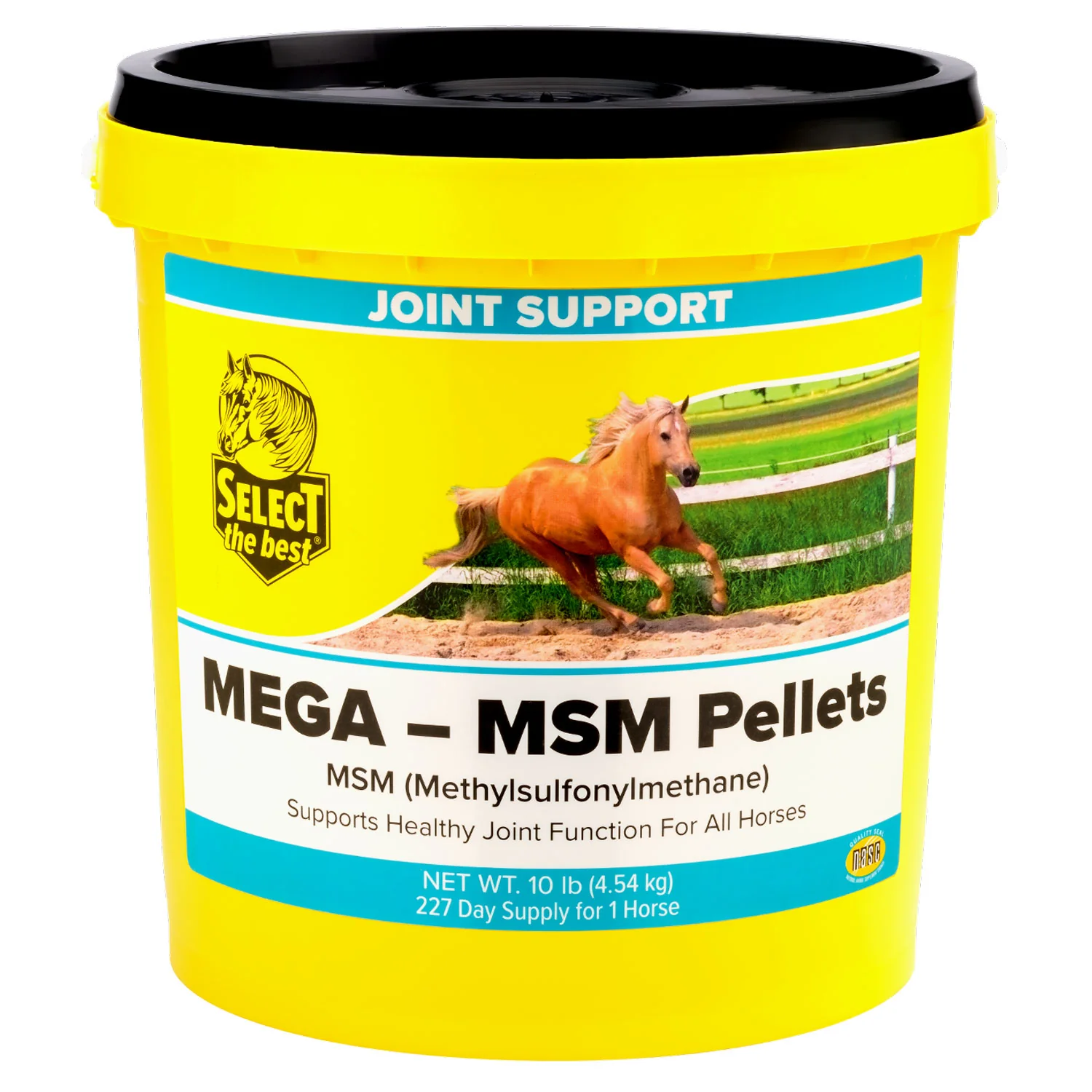 Select The Best Mega MSM - Image 4