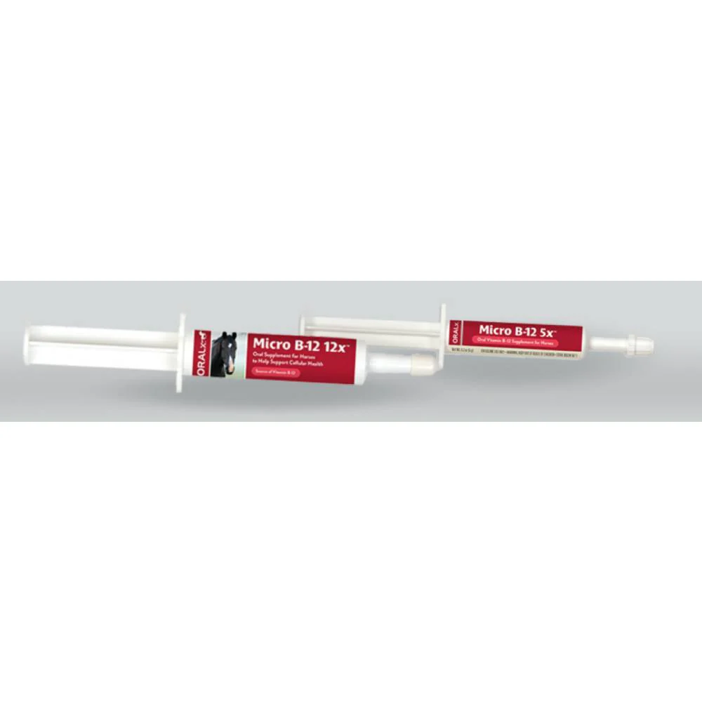 Oral-X Micro B-12 - Image 2