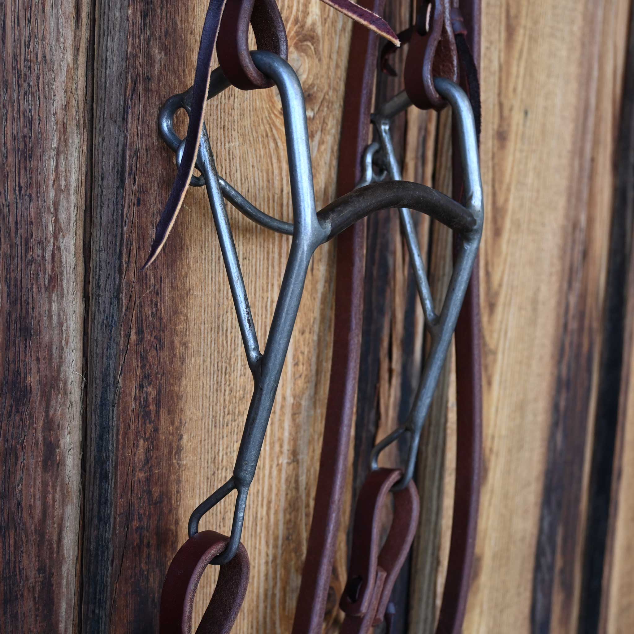 Mullen Bridle Rig w/All New Leather