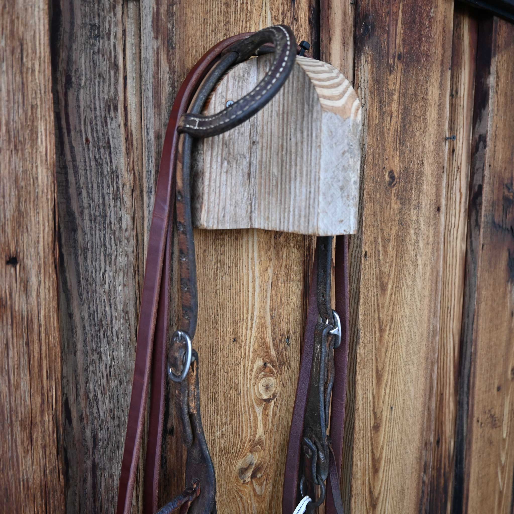 Mullen Bridle Rig w/Single Ear Headstall - Image 3