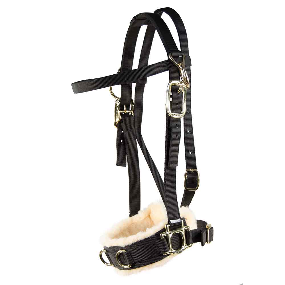 Mustang 1" Nylon Lunge Caveson