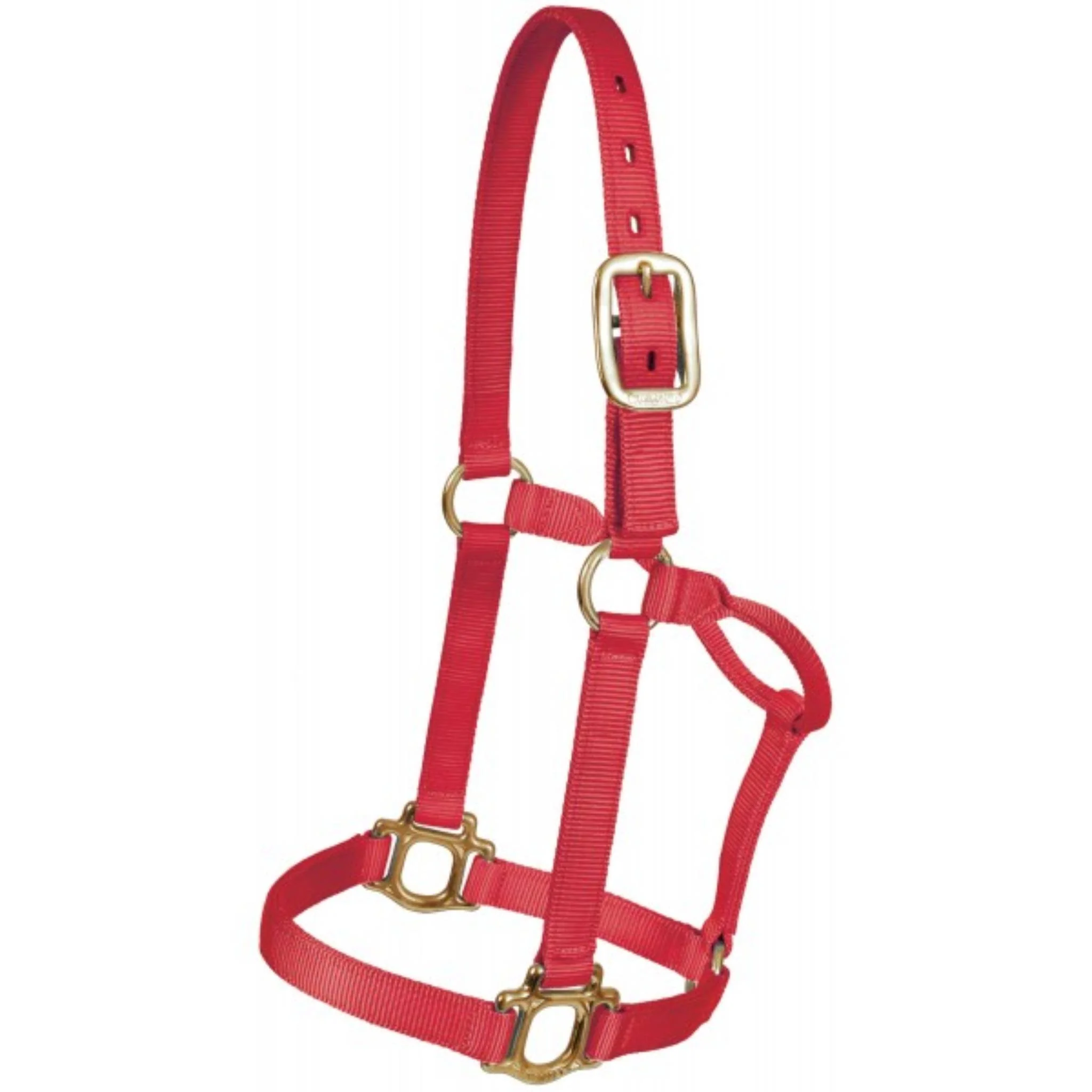 Mustang Triple-Ply Nylon Halter - Image 2