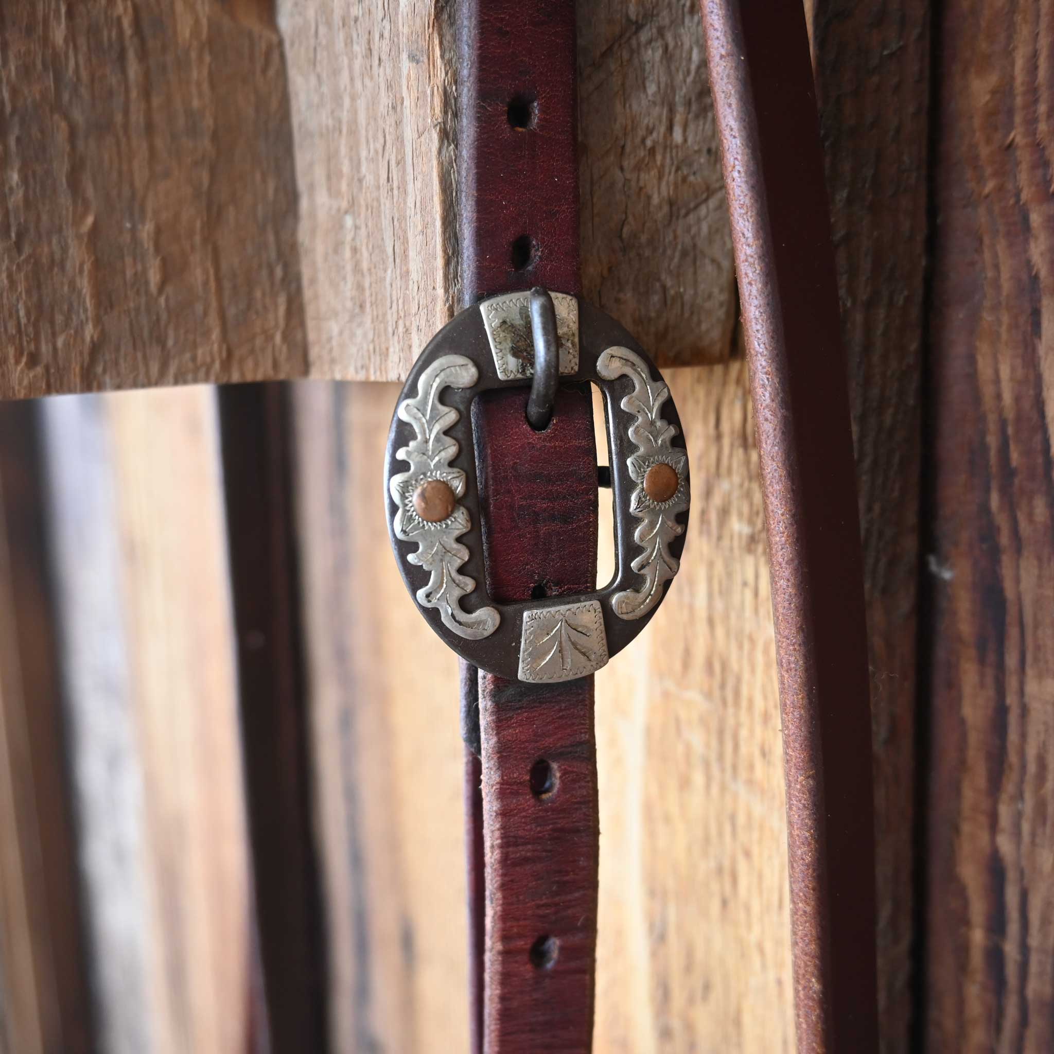 Myler Cathedral Correction Bridle Rig w/ Split Ear Headstall - Image 4