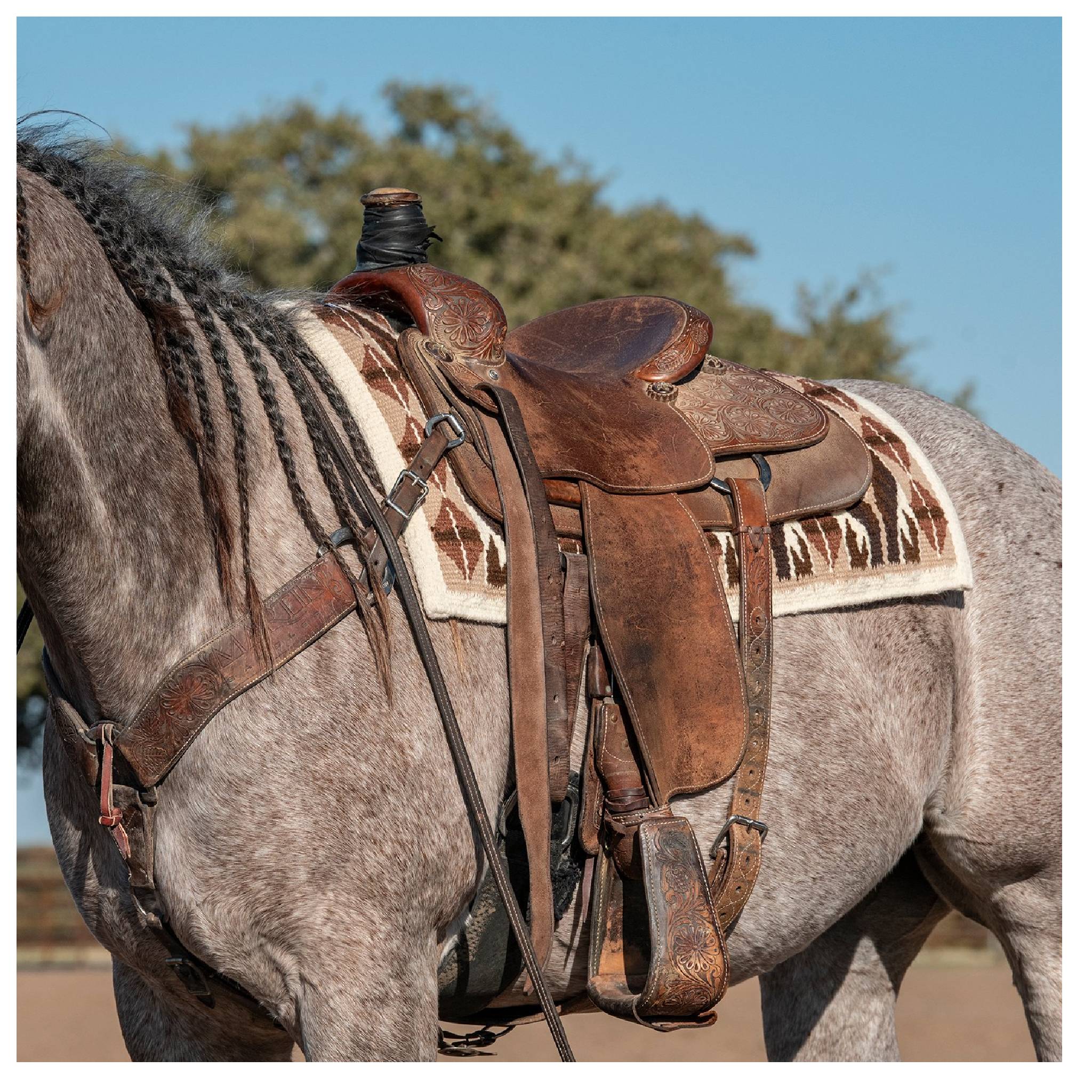 Classic Equine Show Blanket - Image 13