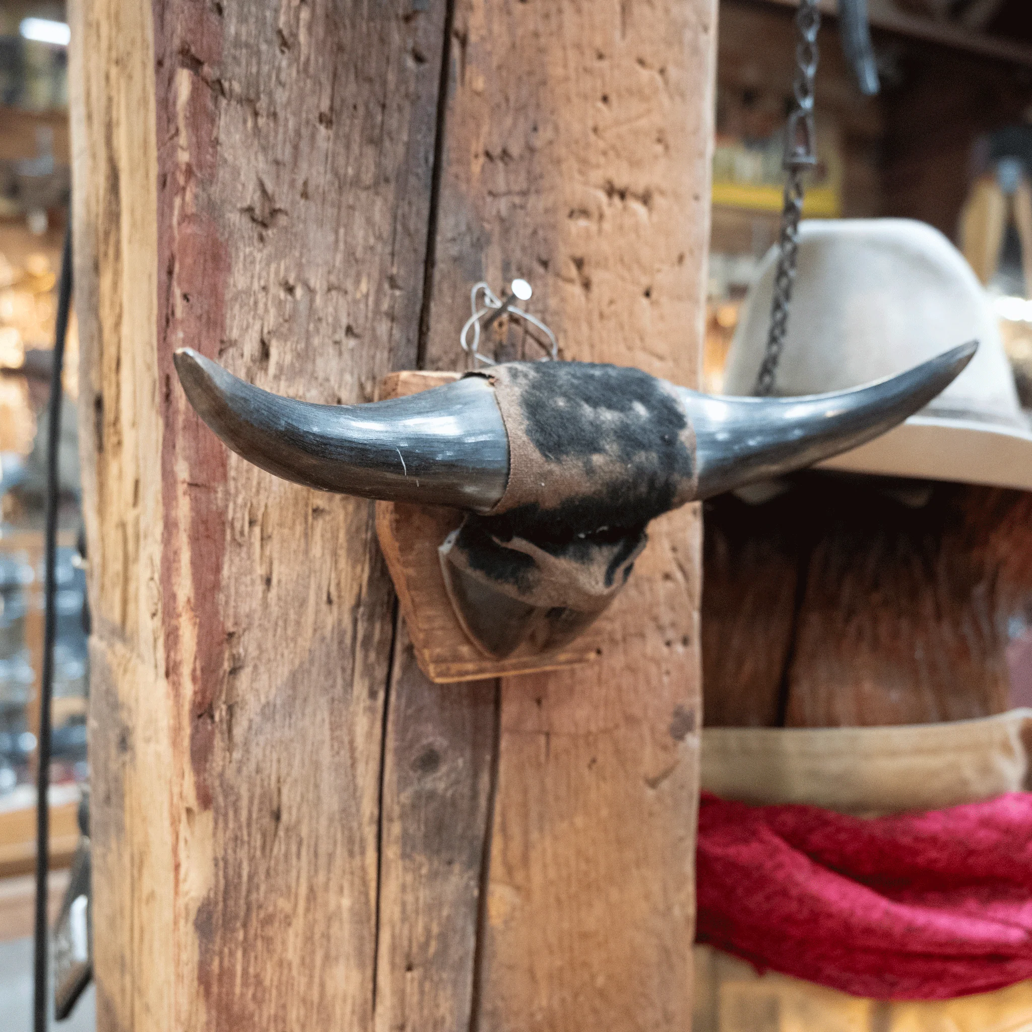 Vintage Hook & Horn Wall Hanging