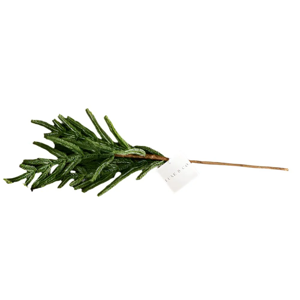 Small Norfolk Pine Faux Stem - Image 2