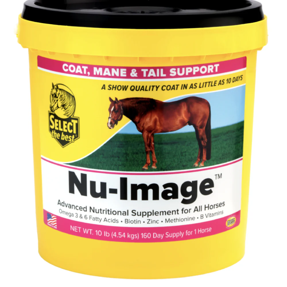 Select The Best Nu-Image - Image 2