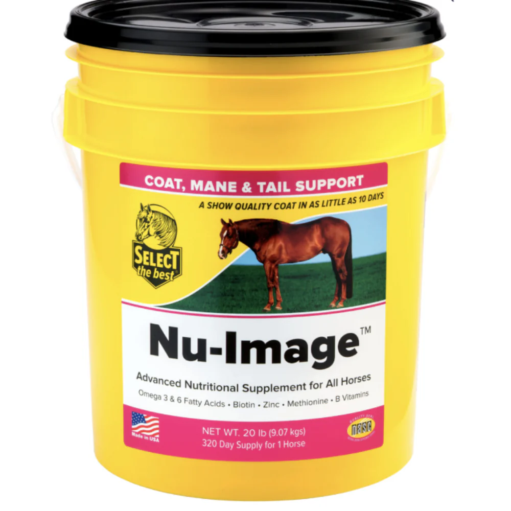Select The Best Nu-Image - Image 3