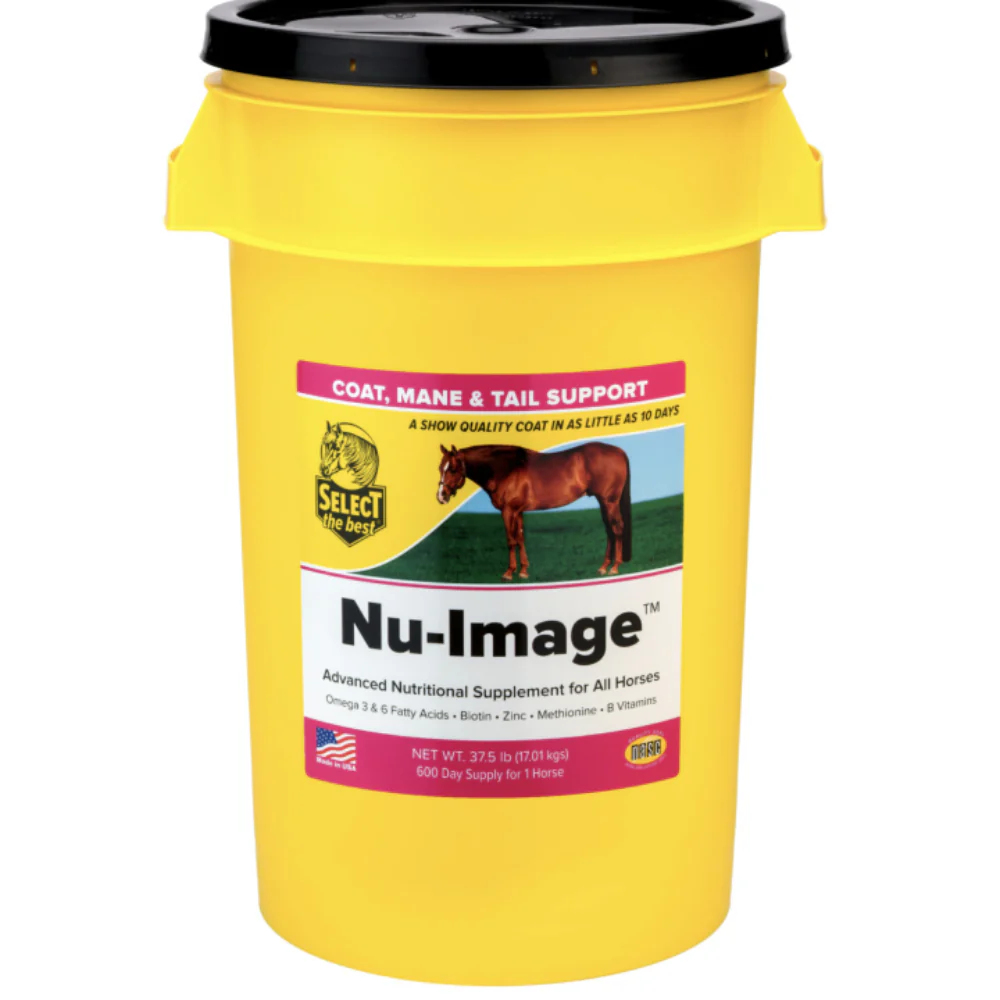 Select The Best Nu-Image - Image 4