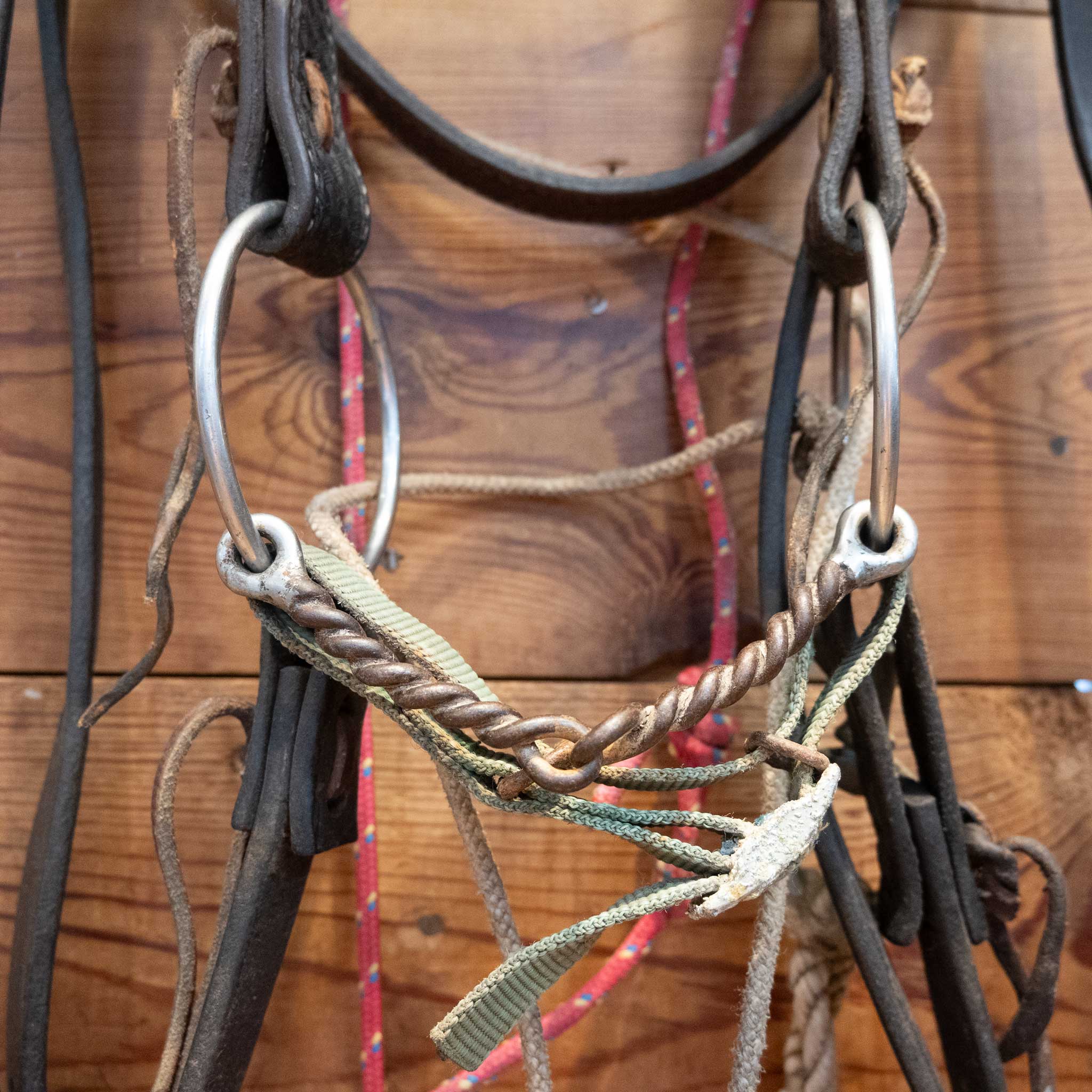O-Ring Twisted Wire Snaffle Bridle Rig w/String Martingale - Image 2