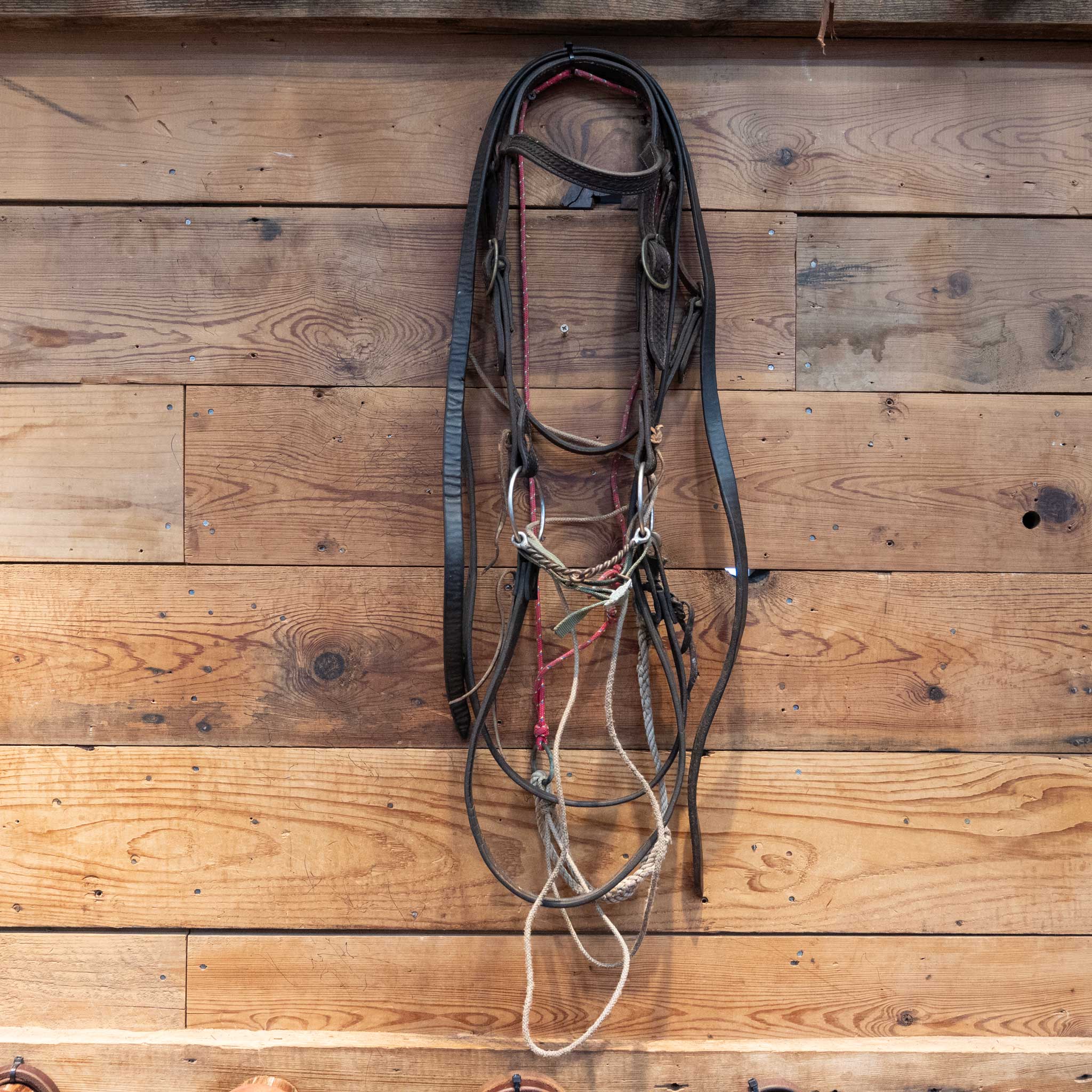 O-Ring Twisted Wire Snaffle Bridle Rig w/String Martingale - Image 4