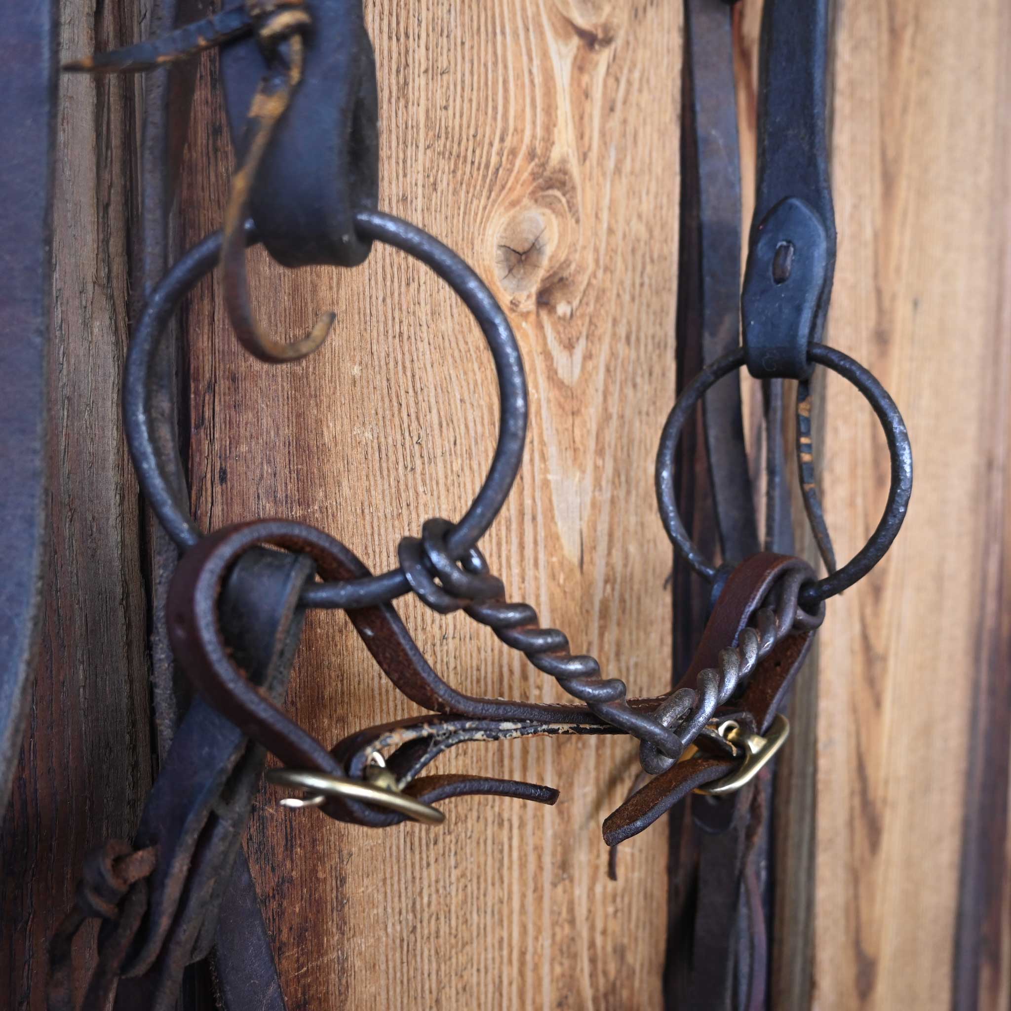 O-Ring Twisted Wire Snaffle Bridle Rig w/Browband Headstall