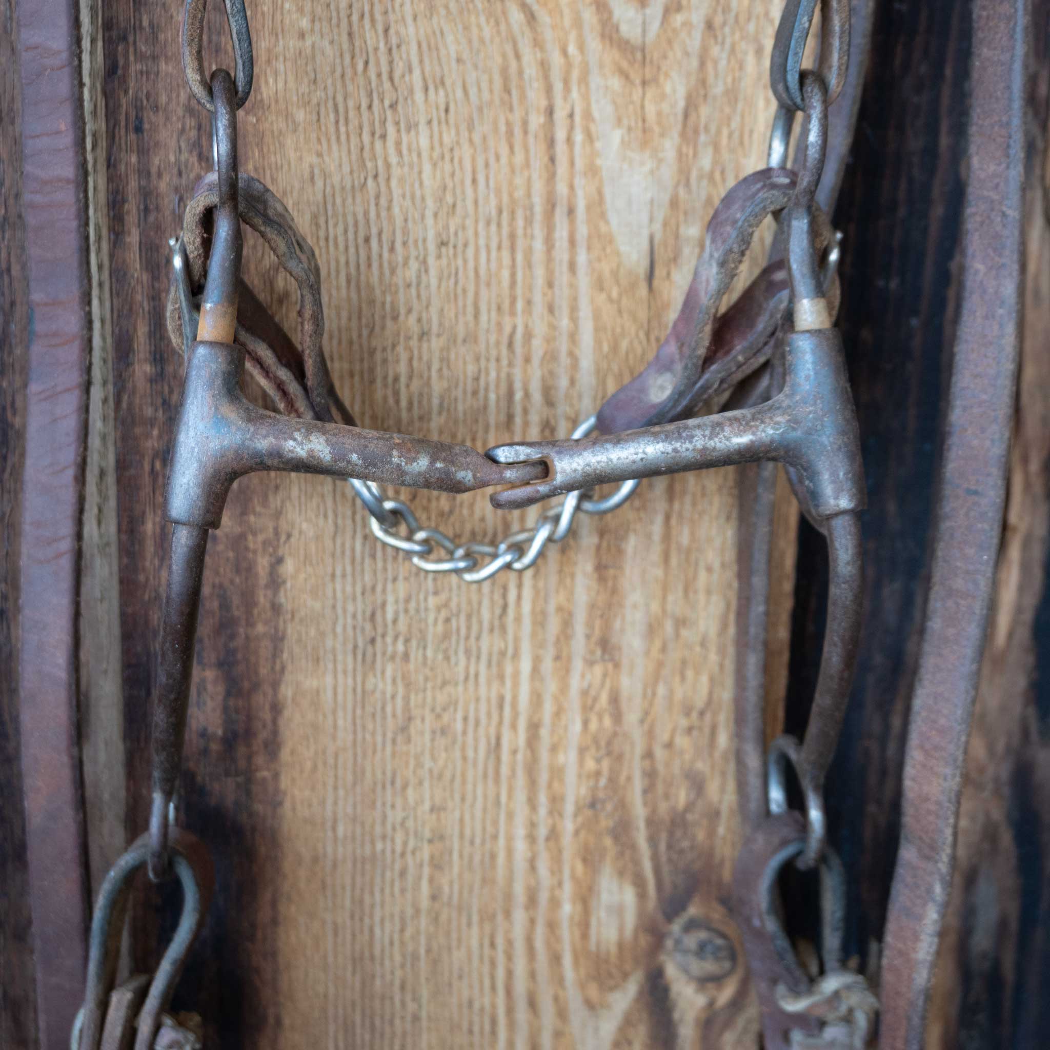 Smooth Snaffle Bridle Rig w/Browband Headstall - Image 2