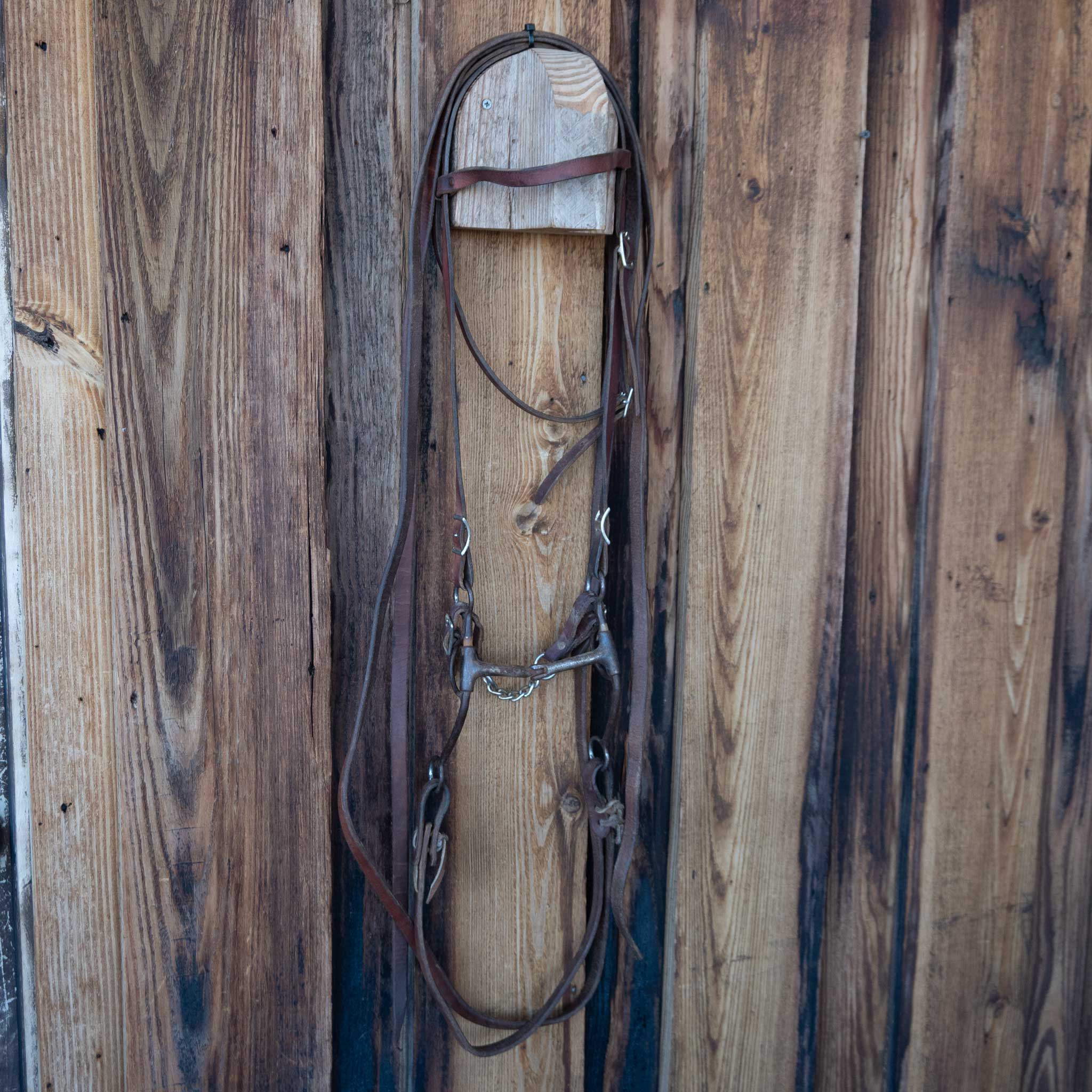 Smooth Snaffle Bridle Rig w/Browband Headstall - Image 4