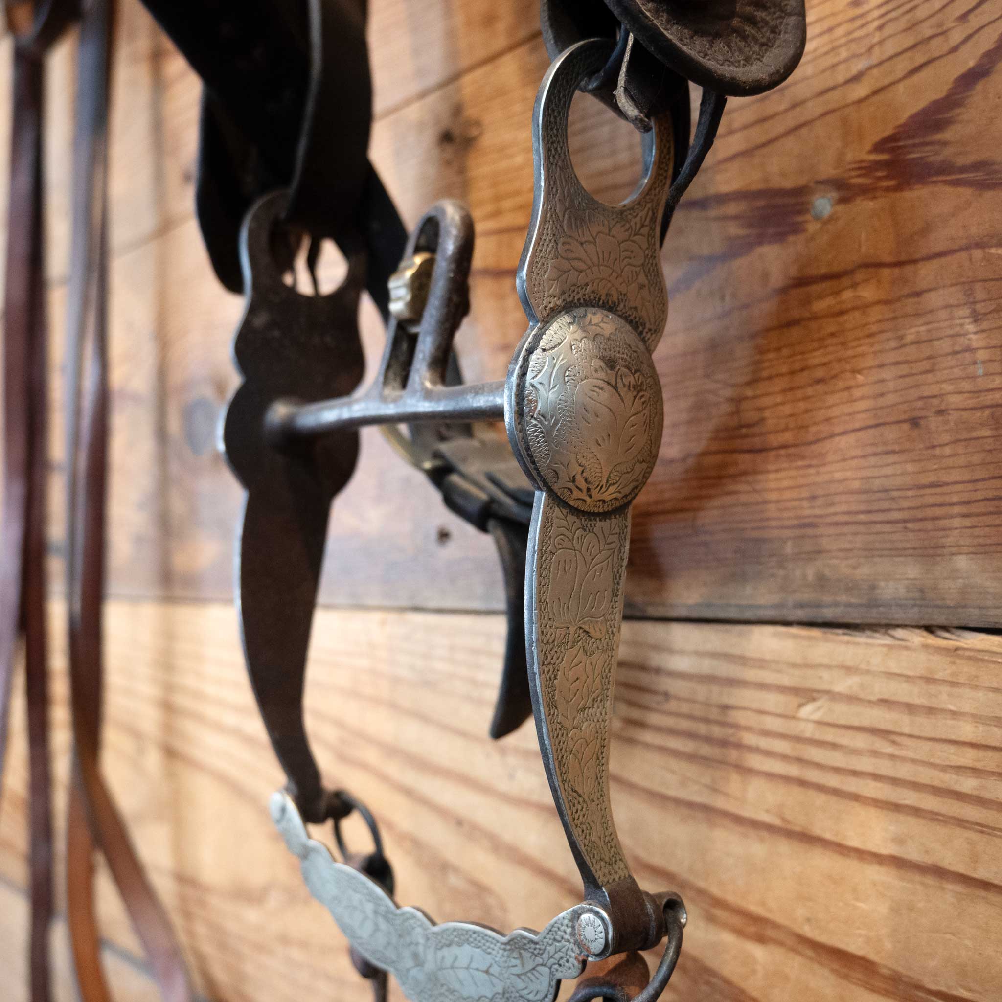 Vintage Dotted Bridle w/Cavesson & Port Bit - Image 2