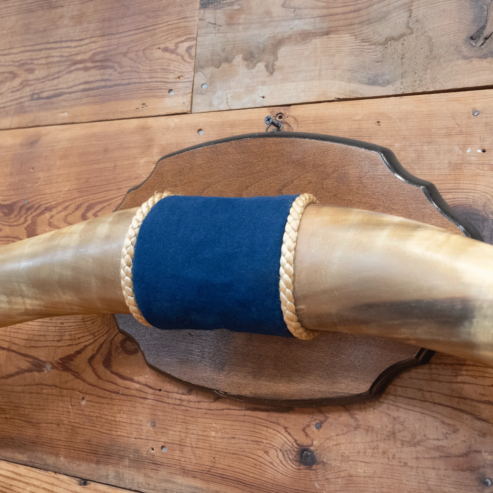 Mounted Horns w/ Blue Velvet Wrapped Center - Image 4
