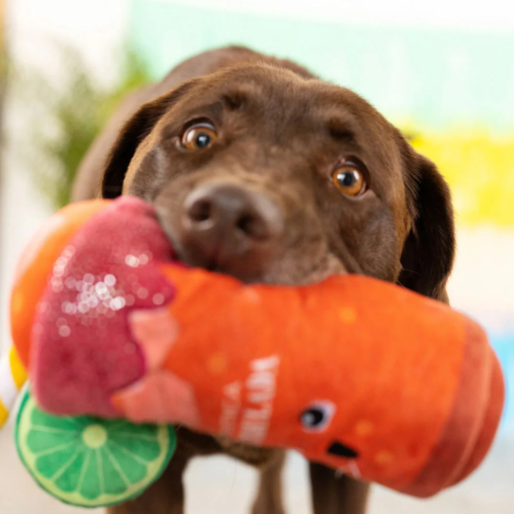 Petshop Muttchelada Dog Toy - Image 3