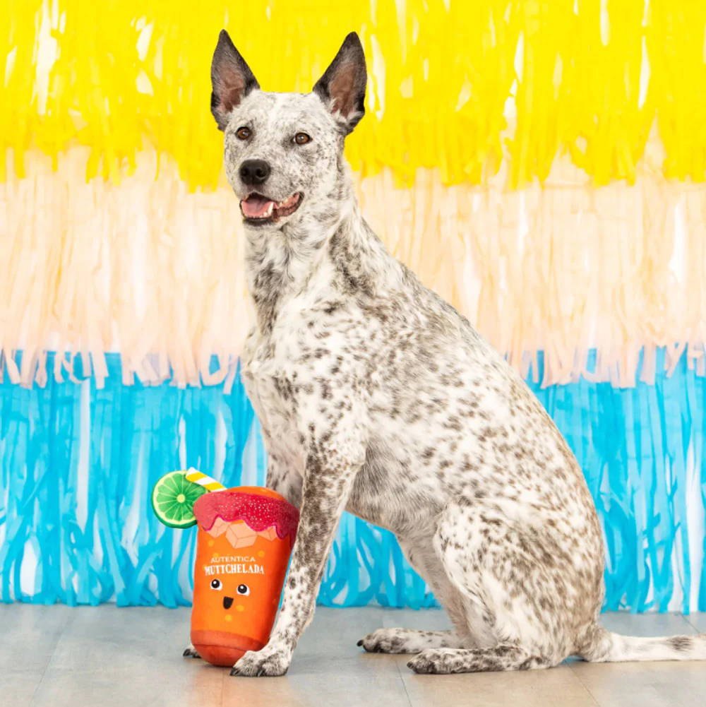 Petshop Muttchelada Dog Toy - Image 4