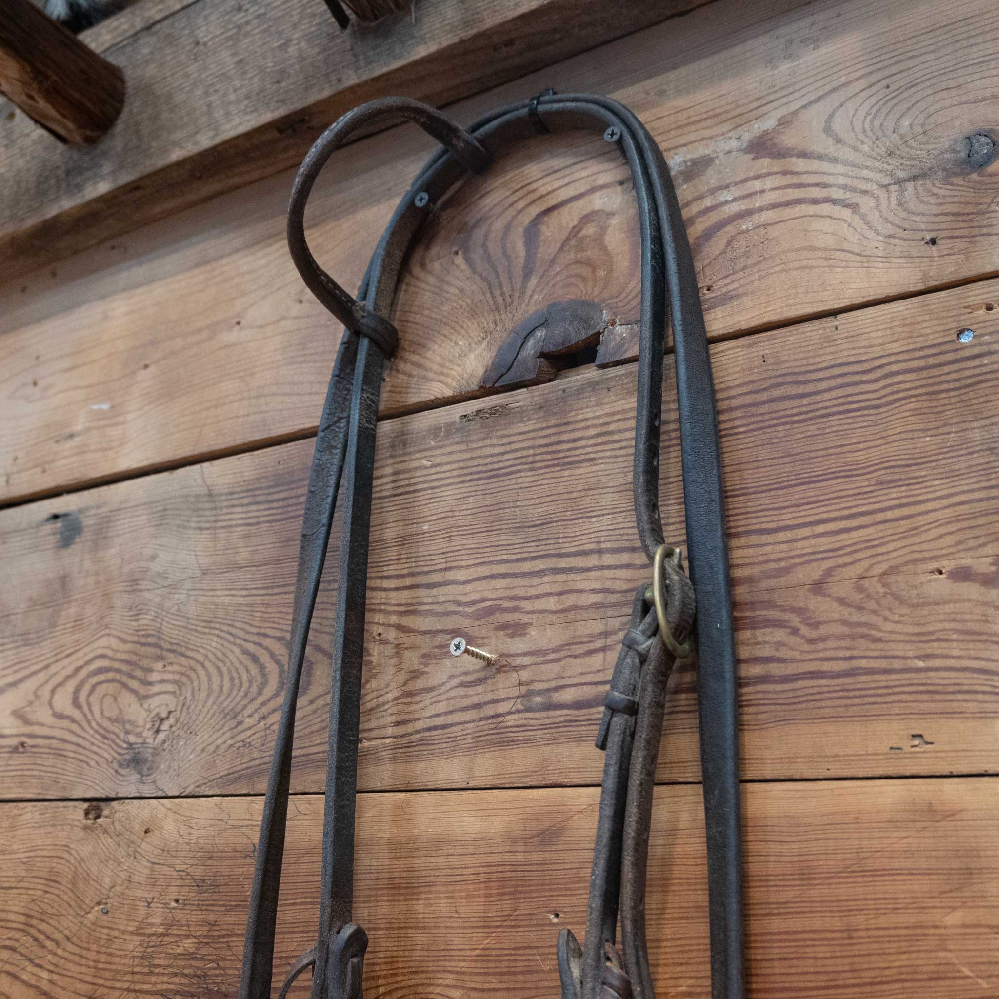 Petska Chain Bridle Rig - Image 3