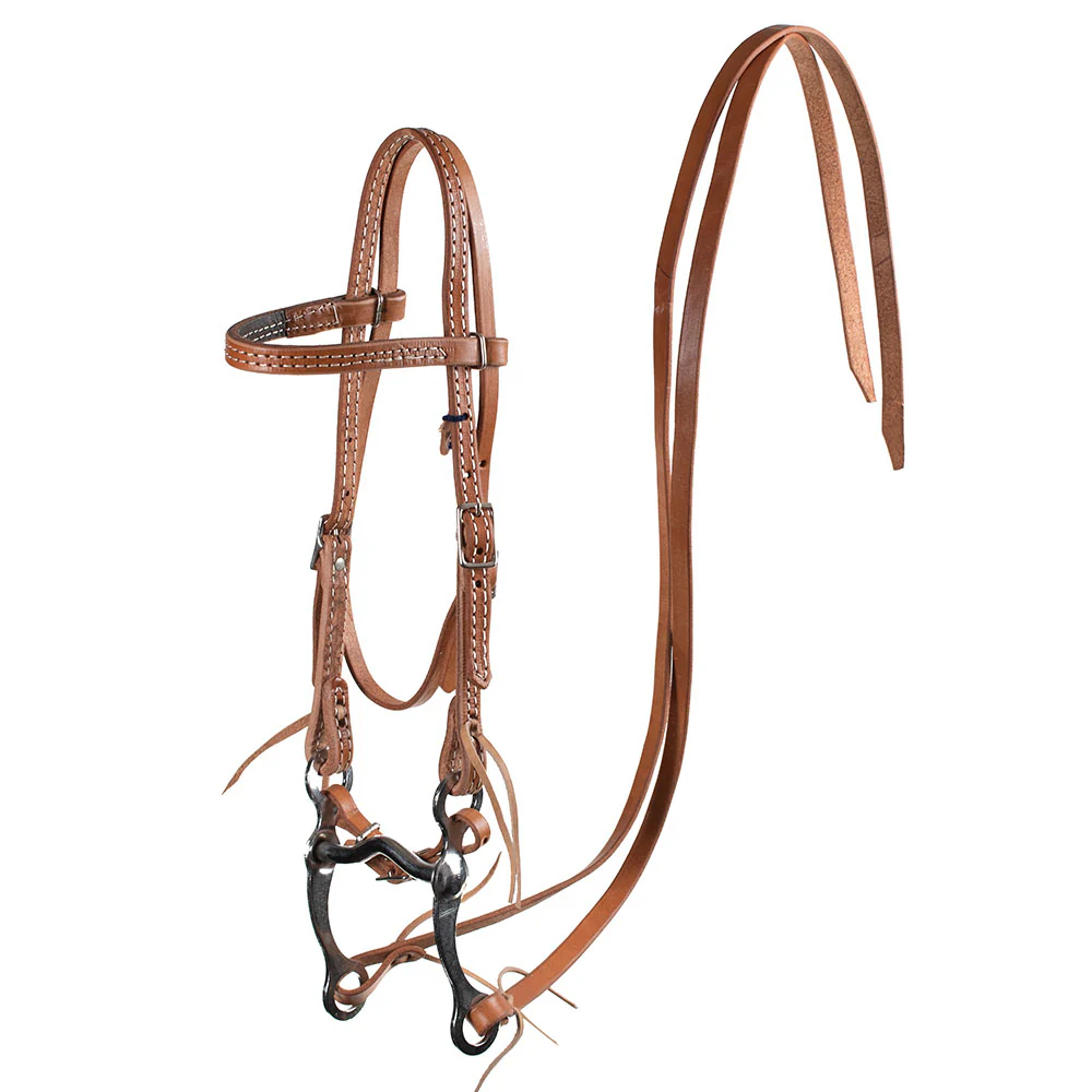 Pony Headstall with Bit Bridle Rig - Image 3
