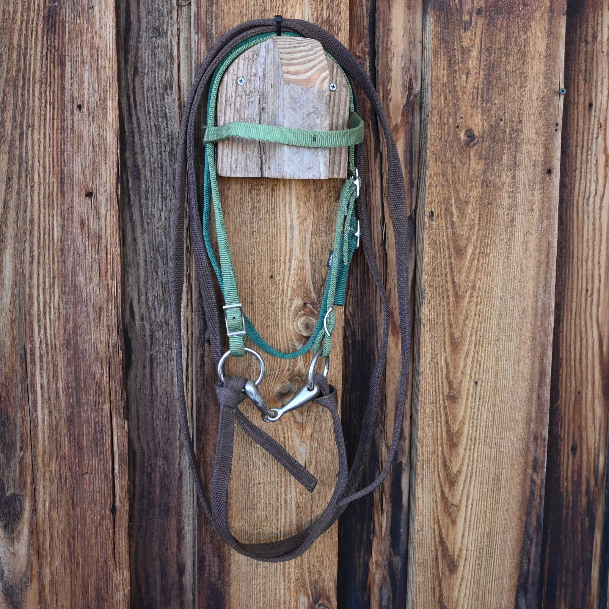 Pony O-Ring Snaffle Bridle Rig - Image 3