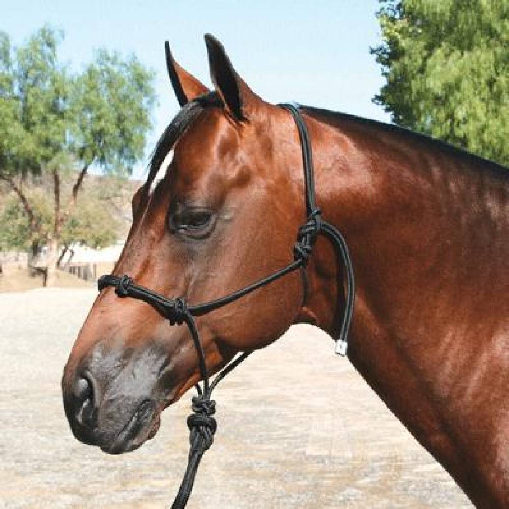 Professional's Choice Clinician Halter w/Lead