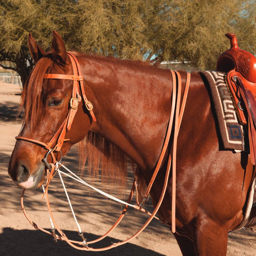 Professional's Choice AD German Martingale