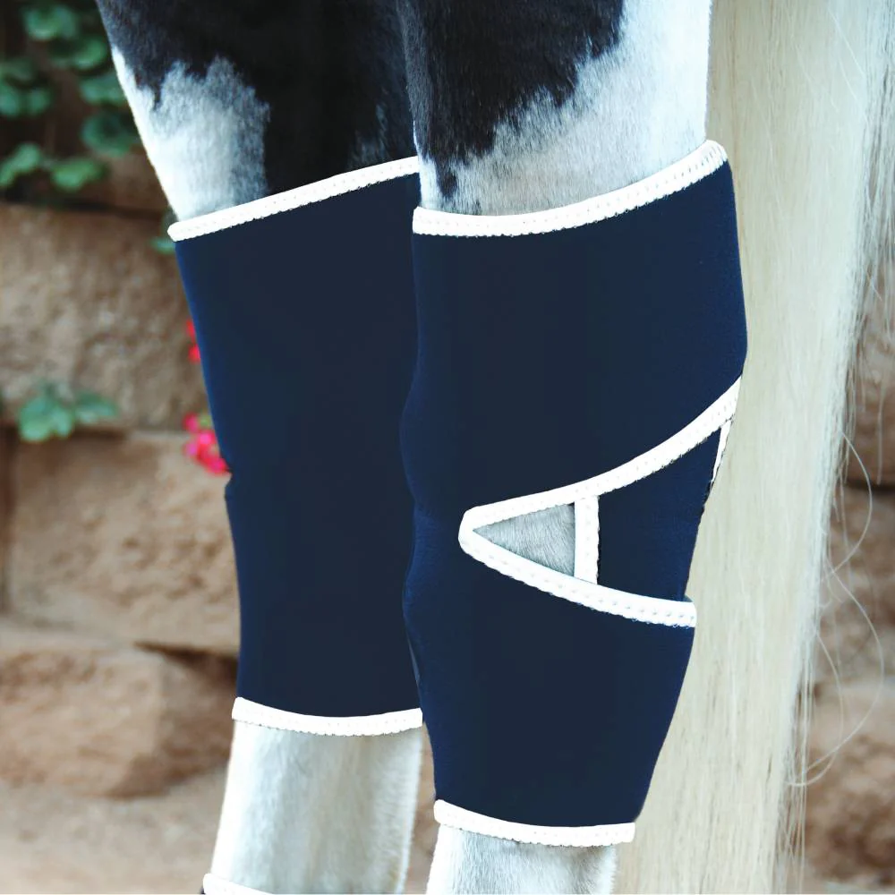 Professional's Choice Magnetic Hock Boot