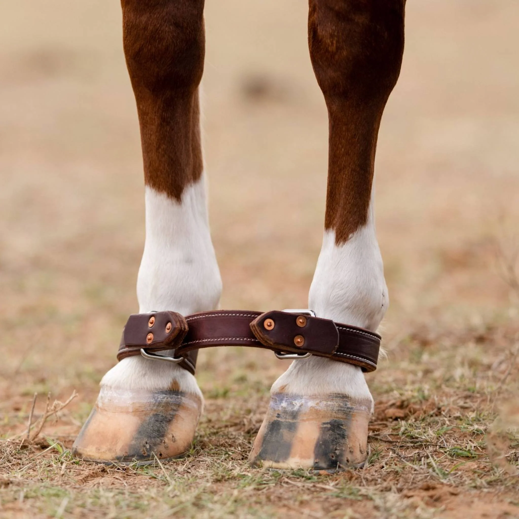 Professional's Choice Ranch EZ Hobble - Image 2