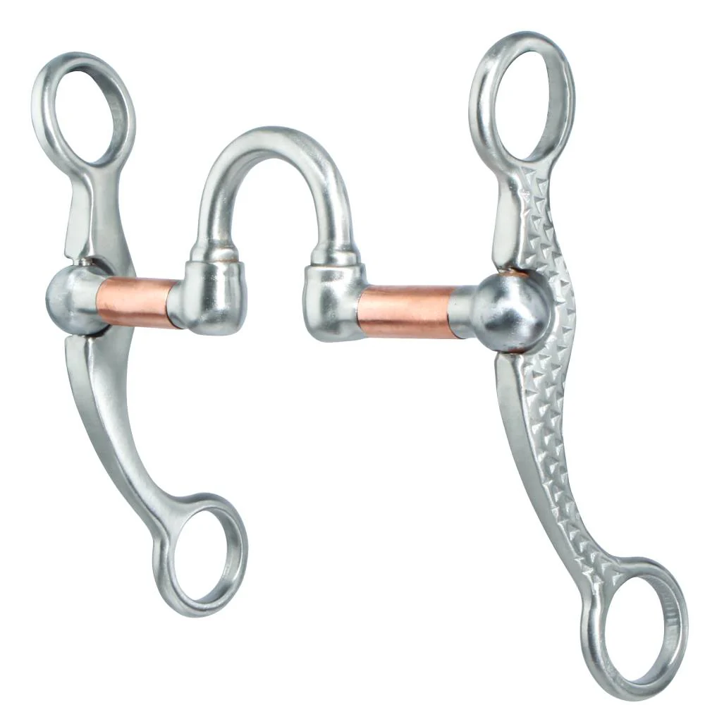 Professional's Choice Rasp Shank Correction Bit